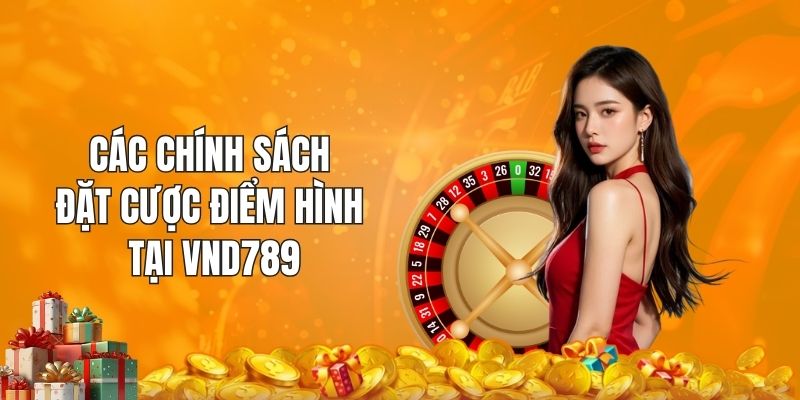 Các chính sách đặt cược điểm hình tại VND789