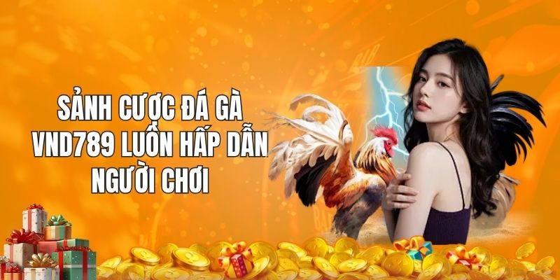 Sảnh cược đá gà VND789 luôn hấp dẫn người chơi